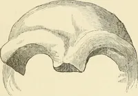 An illustration from Ragnarok: the age of fire and gravel (1883)