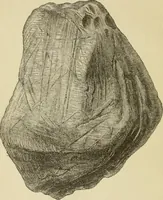 An illustration from Ragnarok: the age of fire and gravel (1883)