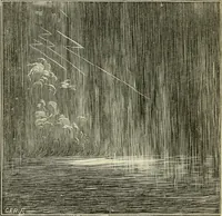 Picture 21 of 33 from Ragnarok: the age of fire and gravel (1883), leaf 233