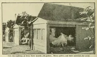 An illustration from Railroad man's magazine (1906)