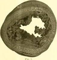 An illustration from Railway master mechanic (1878)
