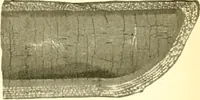 An illustration from Railway master mechanic (1878)