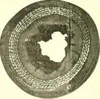 Picture 259 of 356 from Railway master mechanic (1878), leaf 321