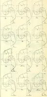 An illustration from Railway master mechanic (1878)