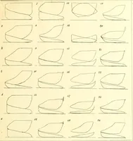 An illustration from Railway master mechanic (1878)