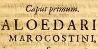 An illustration from Raimundi Mindereri medicinae doctoris ac reip: Augustanae phÿsici Aloedarium marocostinum (1616)
