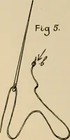 An illustration from Rainy day pastimes for children (1910)