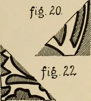 An illustration from Rainy day pastimes for children (1910)