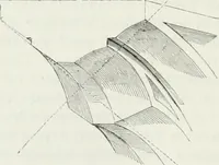 An illustration from Dictionnaire raisonné de l'architecture française du XIe au XVIe siècle (1875)
