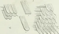 An illustration from Dictionnaire raisonné de l'architecture française du XIe au XVIe siècle (1875)