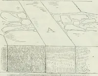 An illustration from Dictionnaire raisonné de l'architecture française du XIe au XVIe siècle (1875)