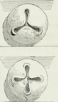 An illustration from Dictionnaire raisonné de l'architecture française du XIe au XVIe siècle (1875)