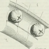 An illustration from Dictionnaire raisonné de l'architecture française du XIe au XVIe siècle (1875)