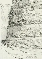 Picture 60 of 327 from Dictionnaire raisonné de l'architecture française du XIe au XVIe siècle (1875), leaf 101