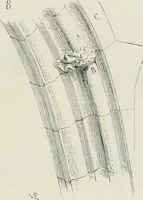 An illustration from Dictionnaire raisonné de l'architecture française du XIe au XVIe siècle (1875)