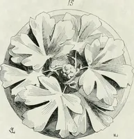 Picture 147 of 327 from Dictionnaire raisonné de l'architecture française du XIe au XVIe siècle (1875), leaf 277