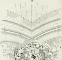 Picture 151 of 327 from Dictionnaire raisonné de l'architecture française du XIe au XVIe siècle (1875), leaf 279