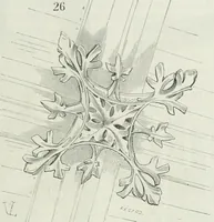 An illustration from Dictionnaire raisonné de l'architecture française du XIe au XVIe siècle (1875)