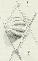 An illustration from Dictionnaire raisonné de l'architecture française du XIe au XVIe siècle (1875)