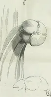 An illustration from Dictionnaire raisonné de l'architecture française du XIe au XVIe siècle (1875)