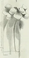 An illustration from Dictionnaire raisonné de l'architecture française du XIe au XVIe siècle (1875)