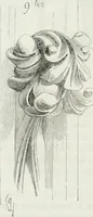 An illustration from Dictionnaire raisonné de l'architecture française du XIe au XVIe siècle (1875)