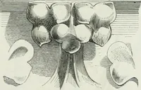 An illustration from Dictionnaire raisonné de l'architecture française du XIe au XVIe siècle (1875)