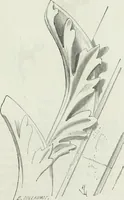An illustration from Dictionnaire raisonné de l'architecture française du XIe au XVIe siècle (1875)