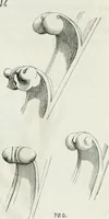 An illustration from Dictionnaire raisonné de l'architecture française du XIe au XVIe siècle (1875)