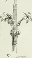 An illustration from Dictionnaire raisonné de l'architecture française du XIe au XVIe siècle (1875)