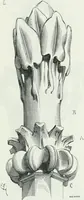 Picture 328 of 397 from Dictionnaire raisonné de l'architecture française du XIe au XVIe siècle (1875), leaf 484