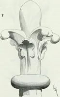Picture 330 of 397 from Dictionnaire raisonné de l'architecture française du XIe au XVIe siècle (1875), leaf 486
