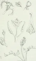 An illustration from Dictionnaire raisonné de l'architecture française du XIe au XVIe siècle (1875)