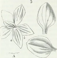 An illustration from Dictionnaire raisonné de l'architecture française du XIe au XVIe siècle (1875)