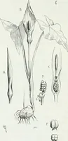 An illustration from Dictionnaire raisonné de l'architecture française du XIe au XVIe siècle (1875)