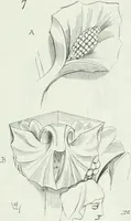 Picture 343 of 397 from Dictionnaire raisonné de l'architecture française du XIe au XVIe siècle (1875), leaf 502