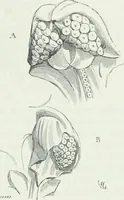 An illustration from Dictionnaire raisonné de l'architecture française du XIe au XVIe siècle (1875)