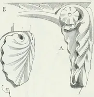 An illustration from Dictionnaire raisonné de l'architecture française du XIe au XVIe siècle (1875)