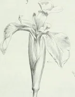An illustration from Dictionnaire raisonné de l'architecture française du XIe au XVIe siècle (1875)