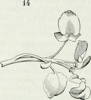 An illustration from Dictionnaire raisonné de l'architecture française du XIe au XVIe siècle (1875)