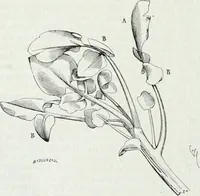 An illustration from Dictionnaire raisonné de l'architecture française du XIe au XVIe siècle (1875)