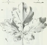 An illustration from Dictionnaire raisonné de l'architecture française du XIe au XVIe siècle (1875)