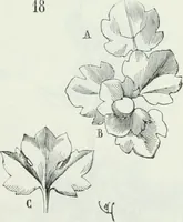 An illustration from Dictionnaire raisonné de l'architecture française du XIe au XVIe siècle (1875)