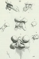 An illustration from Dictionnaire raisonné de l'architecture française du XIe au XVIe siècle (1875)