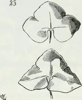 An illustration from Dictionnaire raisonné de l'architecture française du XIe au XVIe siècle (1875)