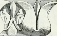 An illustration from Dictionnaire raisonné de l'architecture française du XIe au XVIe siècle (1875)