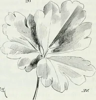 An illustration from Dictionnaire raisonné de l'architecture française du XIe au XVIe siècle (1875)