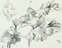 An illustration from Dictionnaire raisonné de l'architecture française du XIe au XVIe siècle (1875)