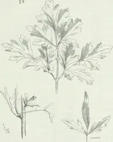An illustration from Dictionnaire raisonné de l'architecture française du XIe au XVIe siècle (1875)