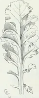 An illustration from Dictionnaire raisonné de l'architecture française du XIe au XVIe siècle (1875)
